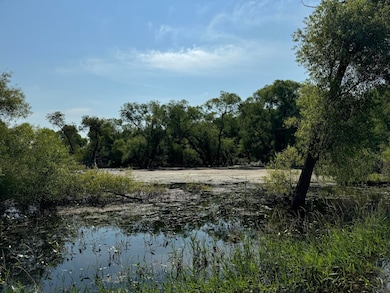 30,40,&50 62nd St, Decatur, MI 49045 - photo 2