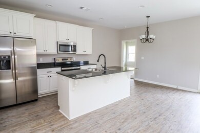 3017 Blackbriar Dr, Oxford, MS 38655 - photo 4