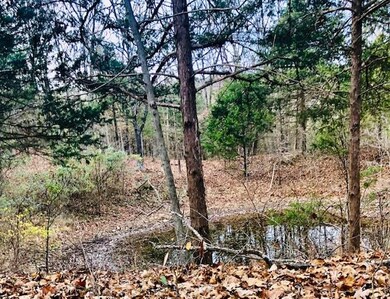 15037 Woolsey Rd, West Fork, AR 72774 - photo 3