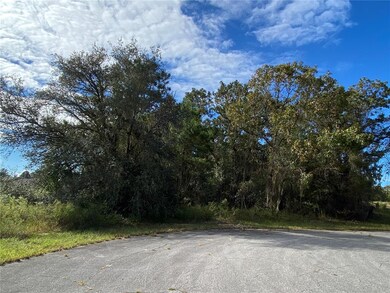 0 SW 60th Terrace unit OM629007, Ocala, FL 34473 - photo 4