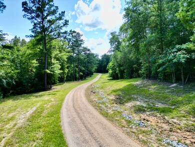 187 County Road 3343, Brundidge, AL 36010 - photo 7