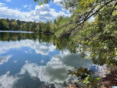 0 Sweatt Rd unit 21398227, Steele, AL 35987 - photo 4