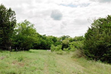 TBD 5 Ox Mill Creek Rd, Weatherford, TX 76087 - photo 5