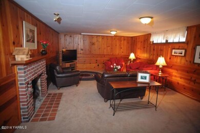 charming lower level living room