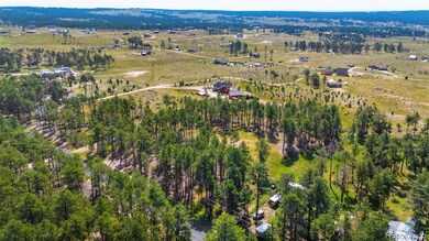 6225 Vessey Rd, Colorado Springs, CO 80908 - photo 5