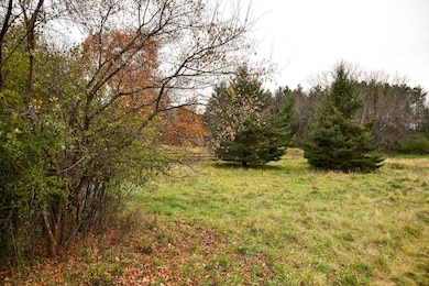 Buildable lot in Afton