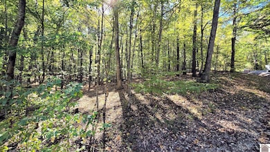 Lot 6 Malcolms Point Rd, Cadiz, KY 42211 - photo 6