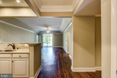 8616 Wintergreen Ct unit 104, Odenton, MD 21113 - photo 6