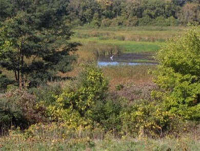 0 Sandhill Rd unit 1680216, Dunn, WI 53575 - photo 7