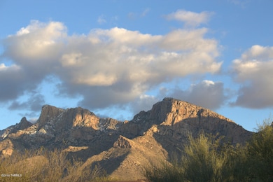 54 E Loch Lomond Place unit 4, Oro Valley, AZ 85737 - photo 2