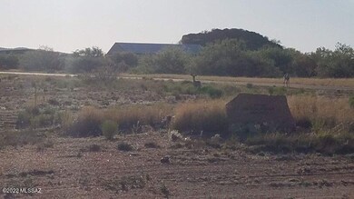 Nickerson 5