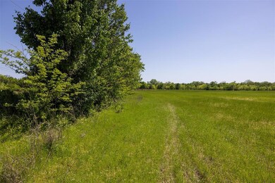 View of local wilderness featuring a rural view