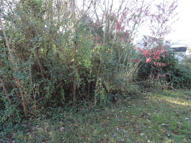 0000 Grafton St, Clifton Forge, VA 24422 - photo 4