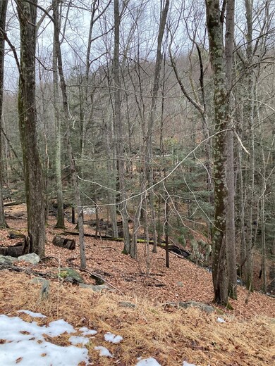 0 Red Hill Rd unit ONEH6333772, Wurtsboro, NY 12790 - photo 5