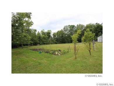 Yard/Garden Garden