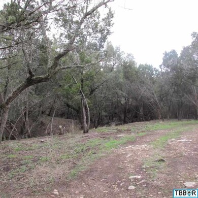 143 Deer Run, Moody, TX 76557 - photo 5