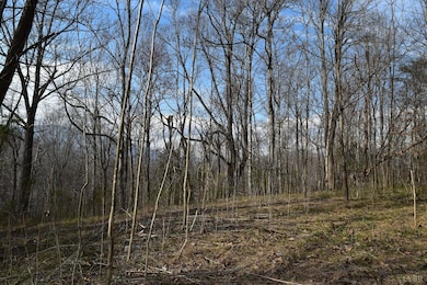 0 Castle Creek Ln, Roseland, VA 22967 - photo 2