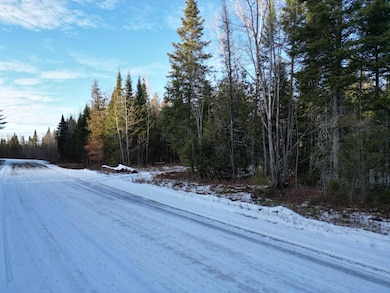 Lot 4-1 Butterfield Ridge Rd, Woodville, ME 04457 - photo 4