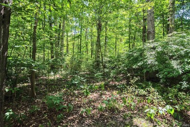 2333 Springmill Rd, Fort Wayne, IN 46845 - photo 4