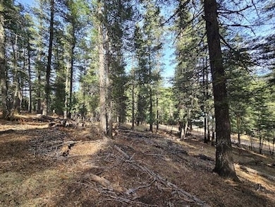 0 Gold Nuggett Alley unit 2 170304, Cloudcroft, NM 88317 - photo 3