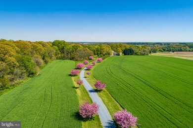 7431 Maple Grove Rd, Chestertown, MD 21620 - photo 5