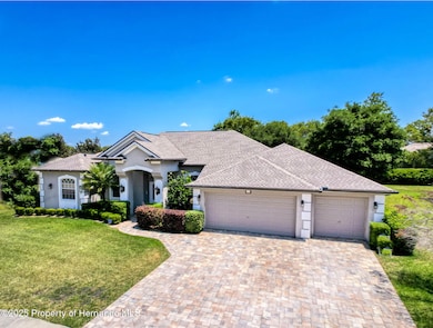 3464 Misty View Dr, Spring Hill, FL 34609 - photo 3