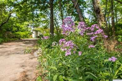 29 Pine Ln, Tivoli, NY 12583 - photo 5