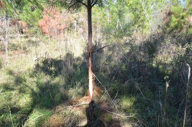 143 Causey Rd, Doerun, GA 31744 - photo 7