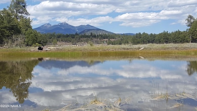 6812 W Soggy Bottom Ranch Rd, Flagstaff, AZ 86001 - photo 3