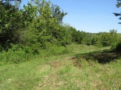 2853 Talmage Mayo Rd, Salvisa, KY 40372 - photo 3