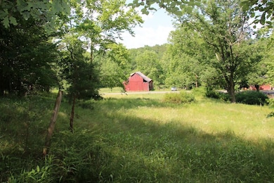 859 Brush Creek Rd, Winchester, VA 22603 - photo 5