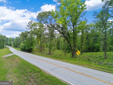 0 Georgia 100 unit 10646369, Franklin, GA 30217 - photo 6