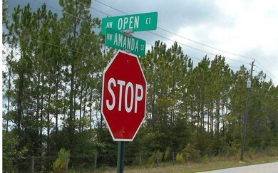 0 Open Ct unit 106074, Lake City, FL 32055 - photo 3