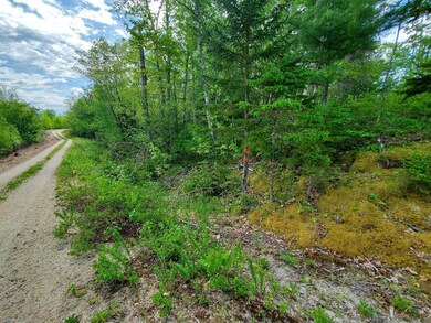West line- beginning of lot