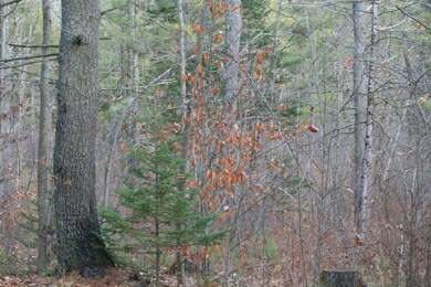 0 Webster Rd, Lisbon, ME 04250 - photo 3