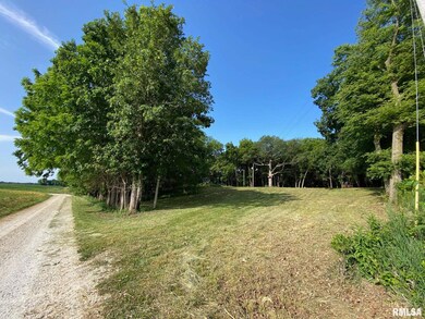 2395 Rolf Ln, Arenzville, IL 62611 - photo 6