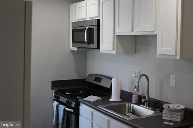 243 Mallow Hill Rd unit 2, Baltimore, MD 21229 - photo 7