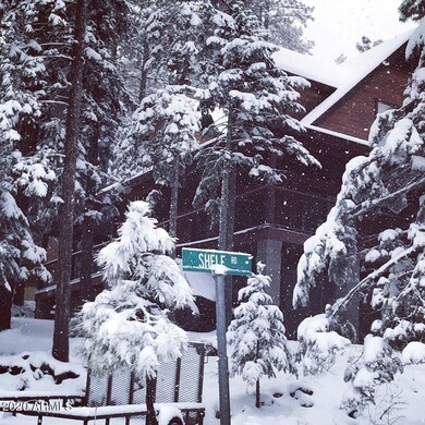 cabin front with snow 3