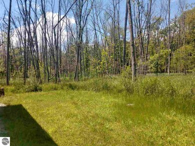 2822 S Santiago Rd, Au Gres, MI 48703 - photo 4