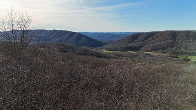 0 Charlie Bird Dr, Hot Springs, VA 24445 - photo 3