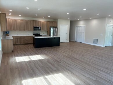 1101 Courtney Dr, Caledonia, MN 55921 - photo 5