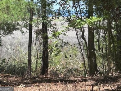 View from lot 22 which is next to lot 18
