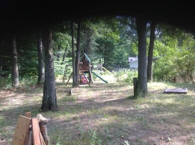 photo 3 (9)