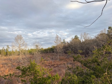 25.29 Acres Alabama 87, Samson, AL 36477 - photo 3