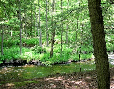 Picture China Maine 2