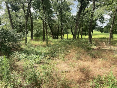 0000 Pvt Rd 5209, Cross Roads, TX 75751 - photo 4