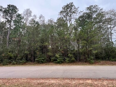 27702 Colapis Dr, Splendora, TX 77372 - photo 4