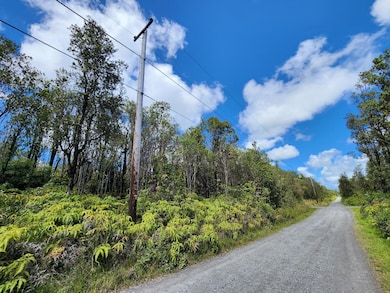 0 Apuakehau Rd unit 720046, Volcano, HI 96785 - photo 4