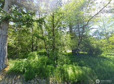 754 Cousins Rd, Chehalis, WA 98532 - photo 7