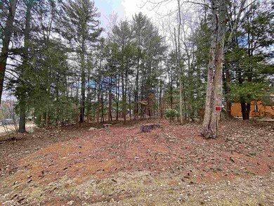 Lot 49 Windsor Way Poplar Cir unit 49, Barnstead, NH 03225 - photo 4